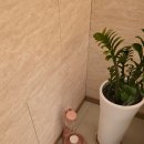 반송동204 | [동탄 반송동 마사지] 스포츠 기본관리 받고 제대로 풀리고 온 량즈 중국전통마사지 후기