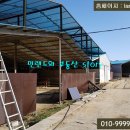 태양목장 이미지