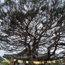 보경사 화장실 이미지