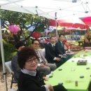 진행정사 이미지