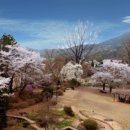 서운동산 이미지