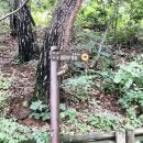 현충탑진입로 이미지