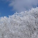 피플헬스 이미지