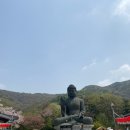 각원사길 | 천안 각원사 벚꽃 지금 최고! 왕벚꽃 명소 방문 후기