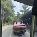 월드밸리 | 에버랜드 로스트밸리, 사파리월드 비교 및 판다월드 후기(대기시간 꿀팁)