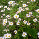 서흥농장 이미지