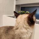 명지 수동물병원 이미지