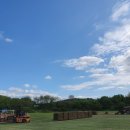 삼일농장 이미지