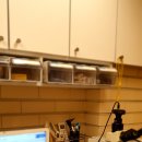 금오동물병원 이미지