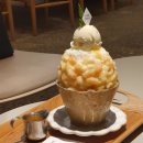 슬로우터틀 이미지