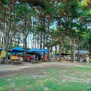 한국에 이런 해변이&#34; 국내 최초! 세계 10대 청정 해변선정, 국내 바다 1위 명소 이미지