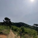 [가덕도 트레킹] 연대봉 초보 순환 코스 완주 후기: 탁 트인 바다 뷰와 닌자 애벌레(?)의 습격