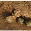 신전권역 이미지