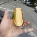 푸드마켓 월곡점 | [뉴질랜드 7일차] 푸카키 호수, 하이컨트리 연어 맛집 - 240103
