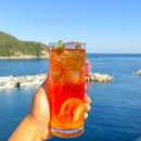 시랑이랑 이미지