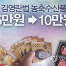 내일농수산