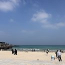 서귀포KAL호텔 | [아이들과 제주] 함덕해수욕장, 서귀포 KAL 호텔에서 여유롭게!