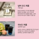 가을향기를 담은 향수 | 도모도 섬유향수, 명품 향기를 담은 섬유 탈취제 솔직 후기