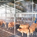 규석농장 이미지