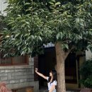 우정일식당 이미지