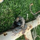 일산중학교 이미지