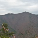 기룡산입구 이미지