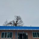 외덕경로당 이미지