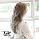 안스헤어 이미지