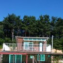 화진포 민박 이미지