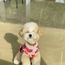 (주)메트워크 이미지