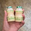 삼척 쭈꾸미 맛집 신불향쭈꾸미볶음 삼척점 솔직 후기 (내돈내산)