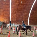 함양승마클럽 이미지