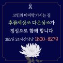도리상조 네이버블로그