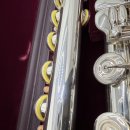 플룻 (B)? 이미지