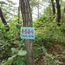 제천 등곡산(登谷山) - 월형산 (月螢山) 산행