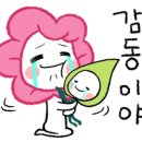 강남언니떡볶이