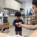 유화목장 이미지