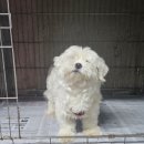 소답동225 이미지