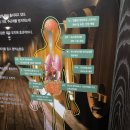 영동1터널(서울) | [1편] 영동 와인터널 방문 후기 - <대전에버홈케어 / 대전, 세종, 청주, 천안 전 지역>