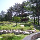 노루메기 이미지