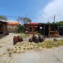 복돌네민박 이미지