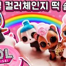 PET WAVE 이미지