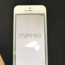 애플 / 아이폰 5se 64g silver / free (판매완료) 이미지