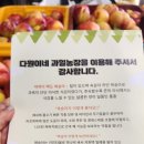 영천다원 이미지