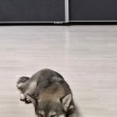 덕암중고타이어