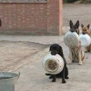 메모리스타 이미지