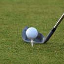 TM골프클럽 이미지