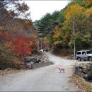 지동초등학교 이미지