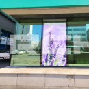 밴스의원춘천