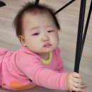 심청안과 :: 8개월 아기 결막염 걸린 후기 (명의 만나고 3일만에 완치!)